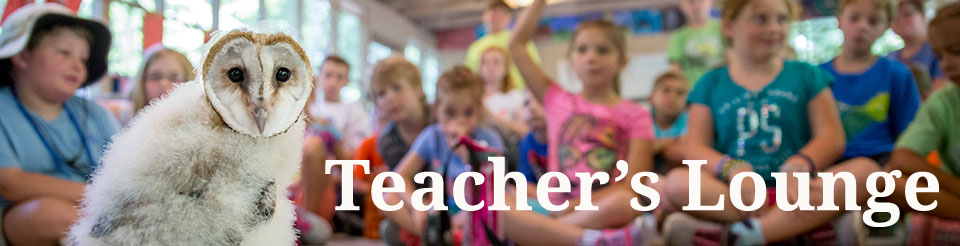 teacher's Lounge