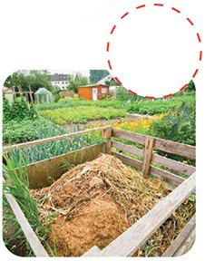 Compost